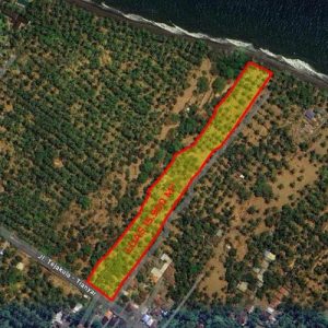 Dijual Tanah Pinggir Pantai 159 Are di Tembok